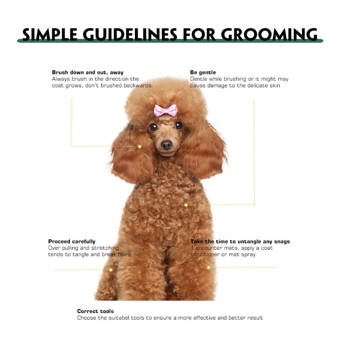 Pets Double-sided Grooming Comb freeshipping - JOSEPH&CASEY