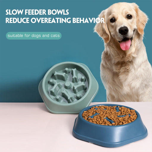 Pets Slow Feeder Bowl / Bone-shaped Bowl freeshipping - JOSEPH&CASEY